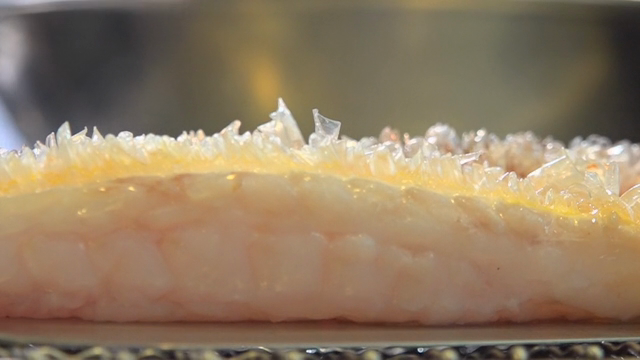 Fresh fish fillet with scales on a tray