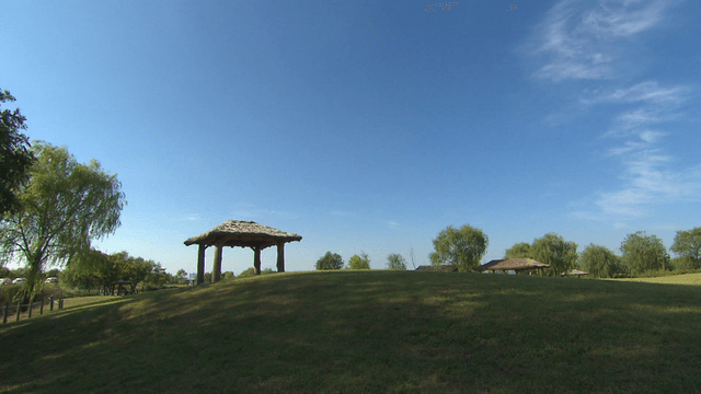 A serene park with a traditional pavilion