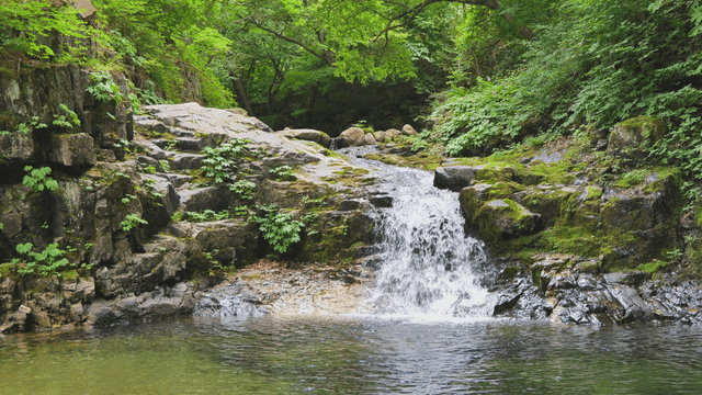Small but fast stream in forest