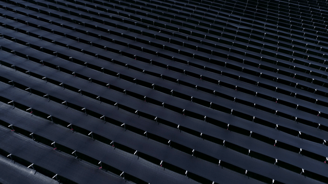 차양막이 펼쳐진 줄지은 밭