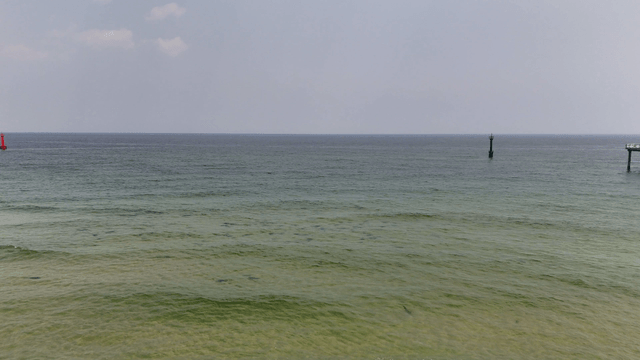 Tranquil beach with a distant pier