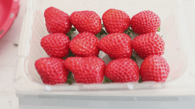 Fresh strawberries in a plastic container