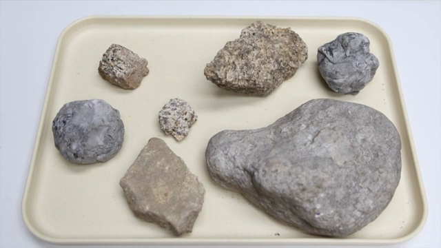 Various rocks displayed on a tray