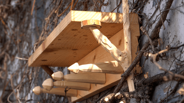 Wooden shelf on a wall covered with dry vines