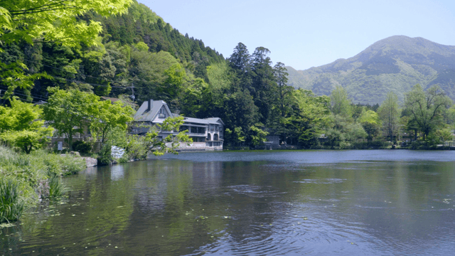Serene lakeside with lush greenery