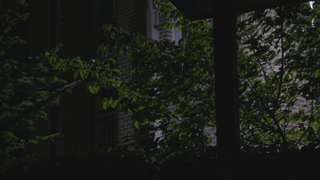 Raindrops falling on pavilion with tree and building silhouettes at night