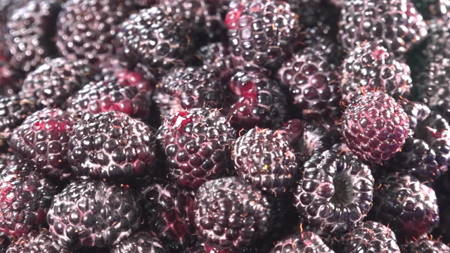 Close-up of fresh black raspberries