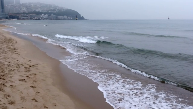 A calm beach with gentle waves