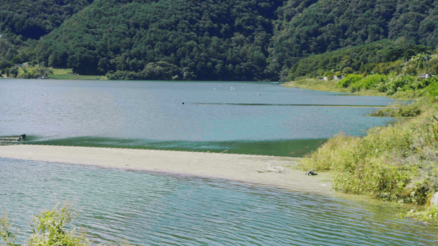 Tranquil lake surrounded by lush greenery