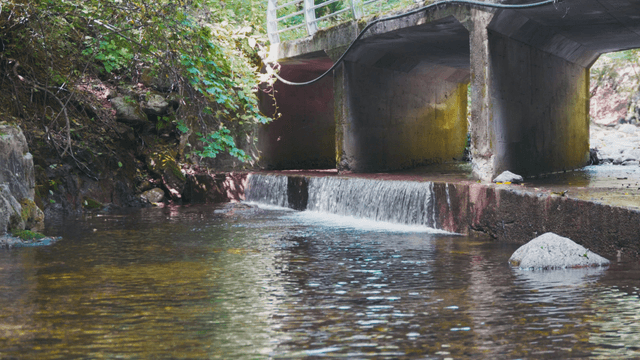 Stream flowing beneath a bridge in the forest