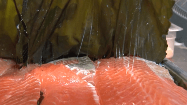 Salmon sashimi aged with kelp