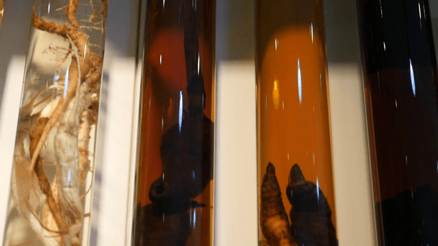 Displayed Old Infusion Liquors