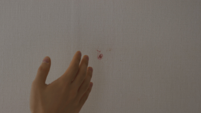 Wall stained with blood after catching a mosquito by hand