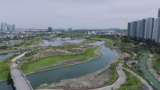 Central lake park in modern city