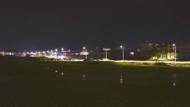 Night view of a rice field with streetlights