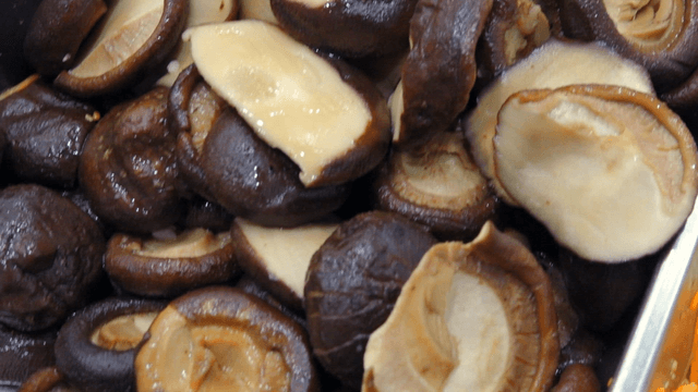 Boiled mushrooms served on a tray