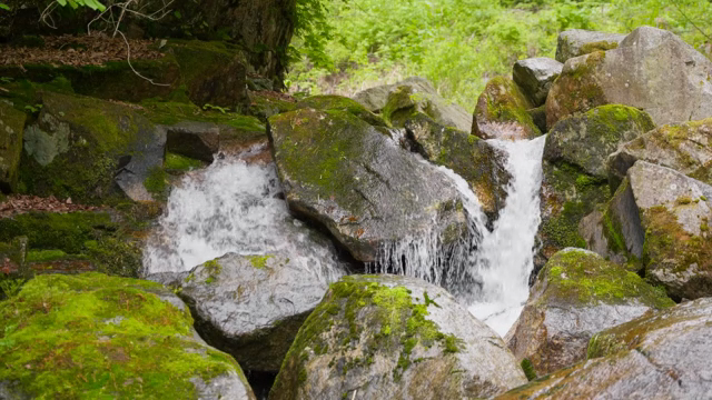 A small waterfall flowing over mossy rocks