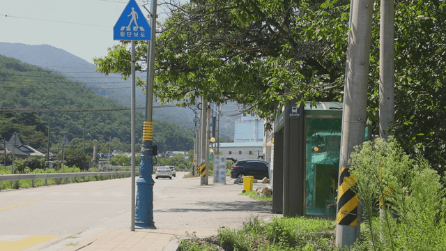 Rural bus stop surrounded by trees