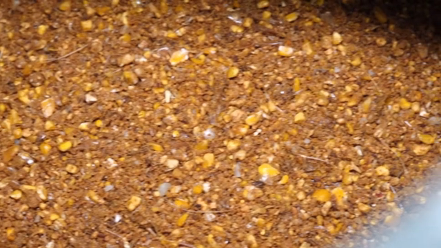 Close-up of animal feed with grains