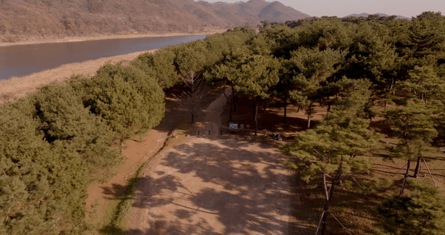 A forest path beside a river with mountains