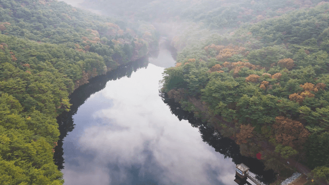 Serene river winding through a forest