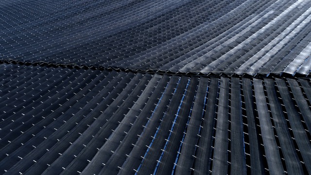 차양막이 펼쳐진 줄지은 밭