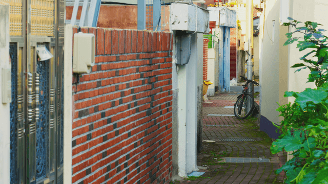 Narrow alley with plants and bicycle