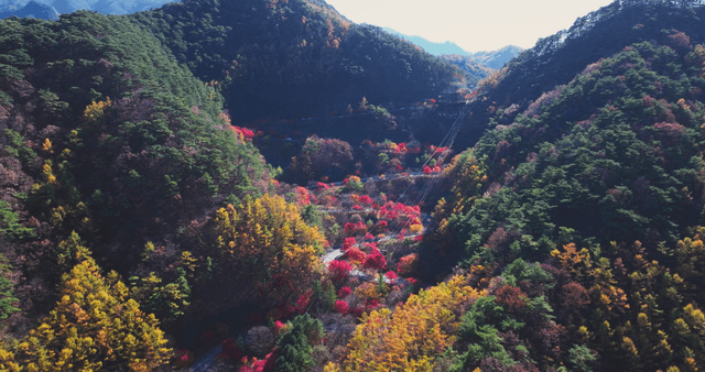 Colorful autumn foliage with winding road