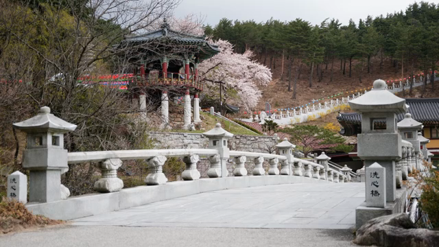벚꽃이 핀 한국 전통 정자