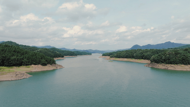 Serene lake flowing between lush forests