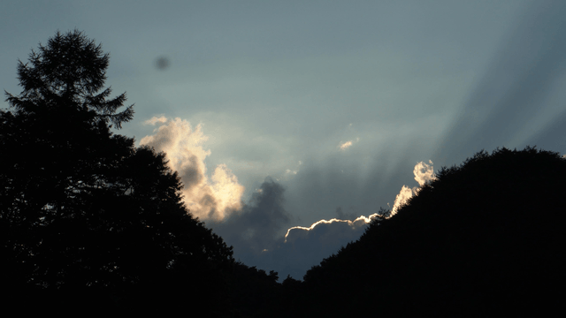 Sky with clouds and tree silhouettes