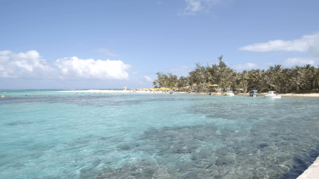 Tropical beach with clear blue water