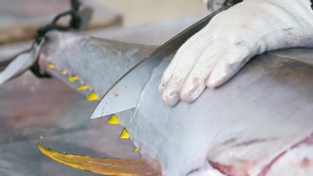 Fish being skillfully filleted with a knife