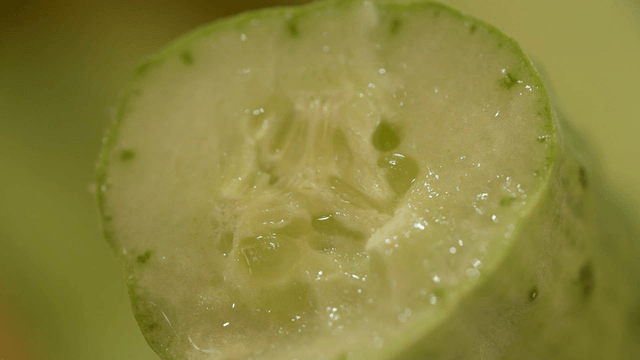 신선하고 채즙가득한 오이 단면 근접 촬영