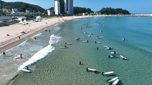 People surfing on a sunny beach