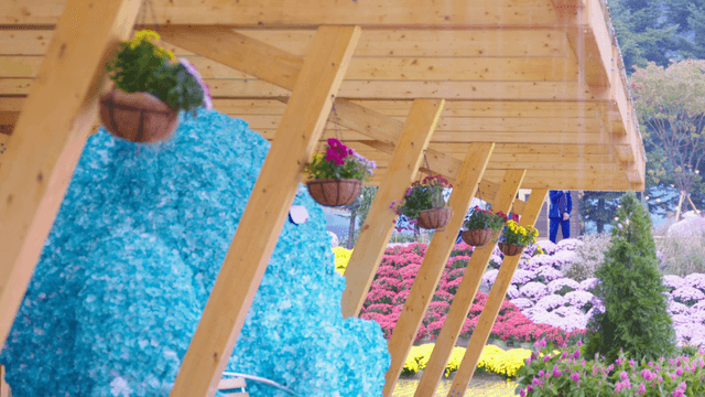 Hanging flower baskets under wooden canopy