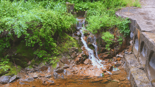 A serene forest stream with mossy rocks