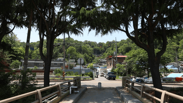Quiet village street with trees and houses