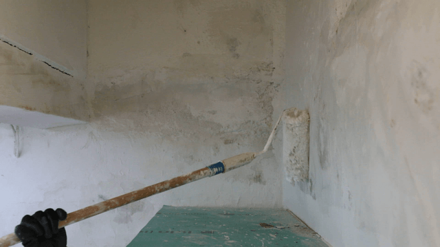 Painting a wall with a roller brush