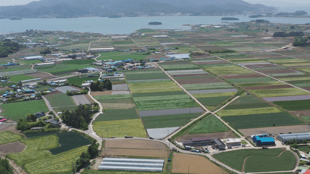 Expansive farmland with distant sea