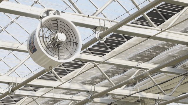 Fan system in a modern greenhouse