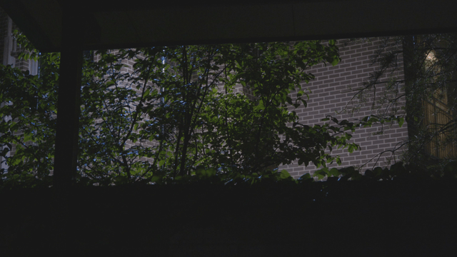 Rain falling on trees before a brick wall