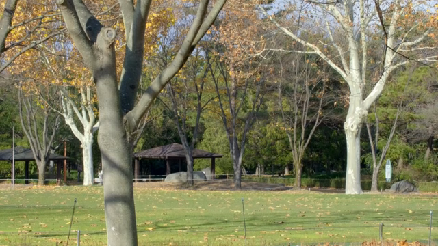 Park with trees and a pavilion