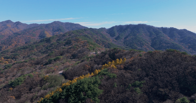 Scenic view of lush autumn mountains