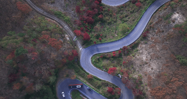 Winding forest road with autumn foliage