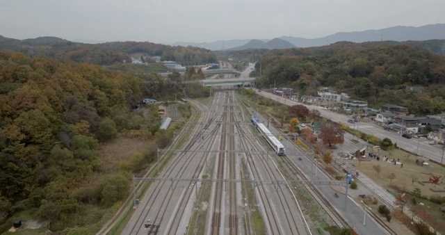 Railway tracks surrounded by autumn trees