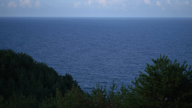 Wide ocean view beyond green forest