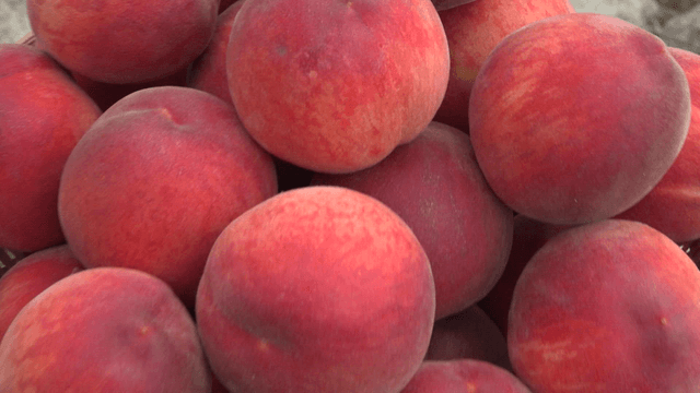 Basket of fresh peaches