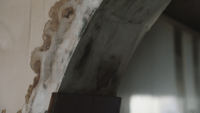 Close-up of a damaged wall with stains