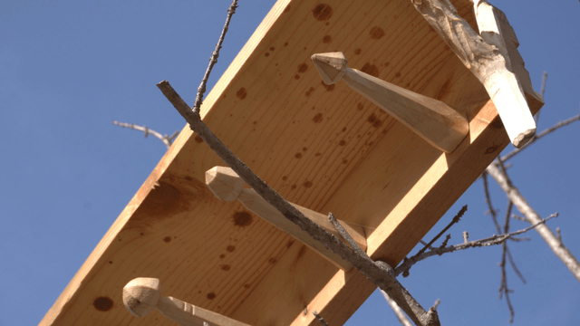 Wooden branch shelf under the sky